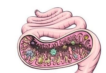 Worms in the stomach